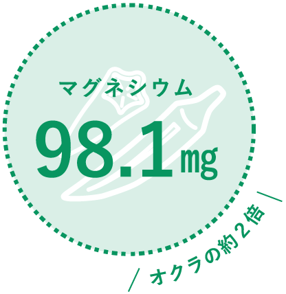 食用サボテン太陽の葉栄養素　マグネシウム98.1mg